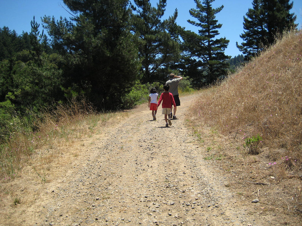 How To Plan A Day Hike With The Kids